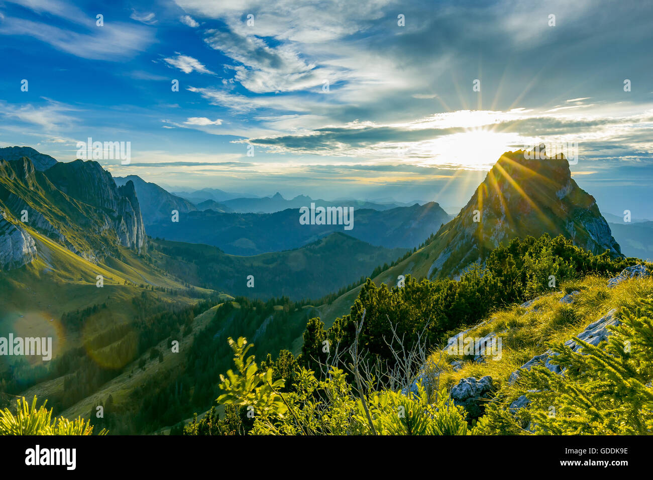 Natur, Landschaft, Stein, Fels, Schweiz, Baum, Bäume, Sommer, Wolke, Berg, Brüggler, Kanton Glarus, Stockfoto