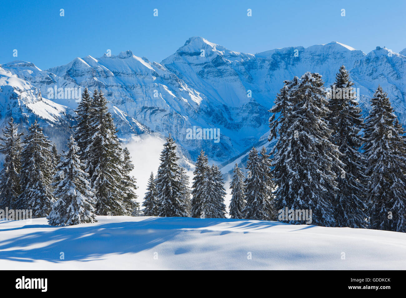 Der Glarner Alpen, Schweiz Stockfoto