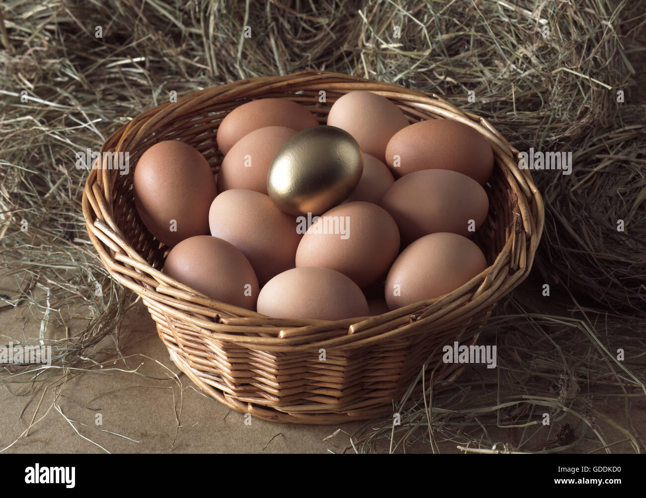 Hühnereier in Korb, symbolisches Bild für Gold-Ei mit Henne Stockfoto