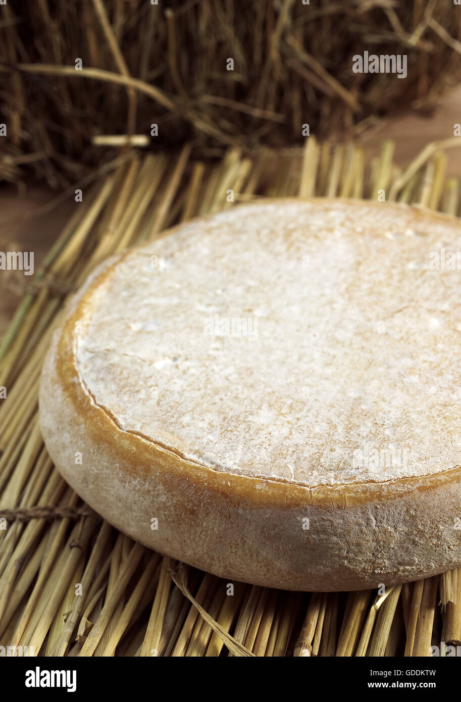 Reblochon, französischer Käse aus Savoyen aus Kuhmilch hergestellt Stockfoto