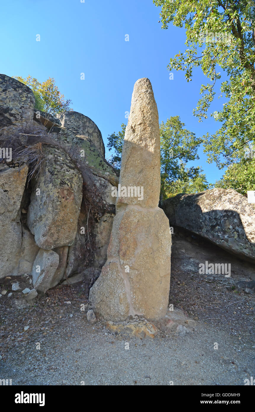 Prähistorische Menhir viele Tausende von Jahren alt, verwendet für religiöse Riten, umgeben von einem Wäldchen von Eichen und Granit Stockfoto