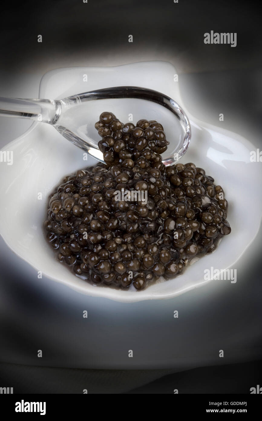 Kaviar, Stör Eiern Stockfoto