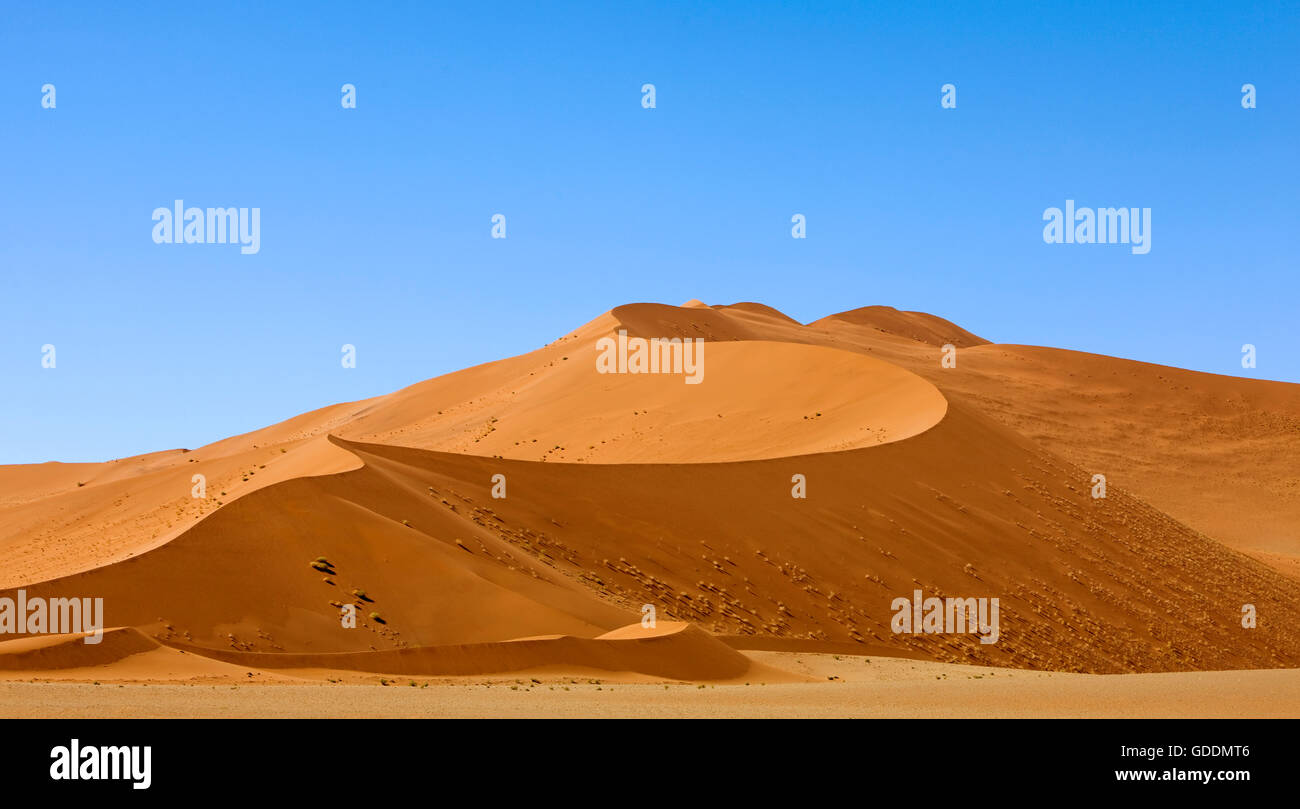 Wüste Namib, Namib-Naukluft-Park, Sossusvlei Dünen, Namibia Stockfoto