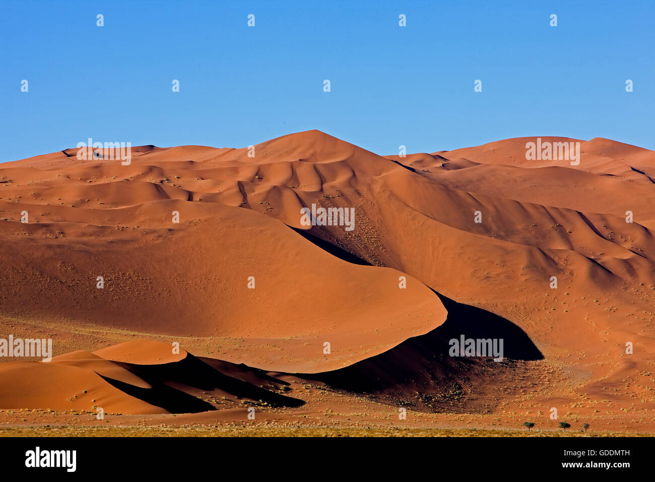 NAMIB-NAUKLUFT-PARK, NAMIB-WÜSTE, SOSSULSVLEI DÜNEN IN NAMIBIA Stockfoto