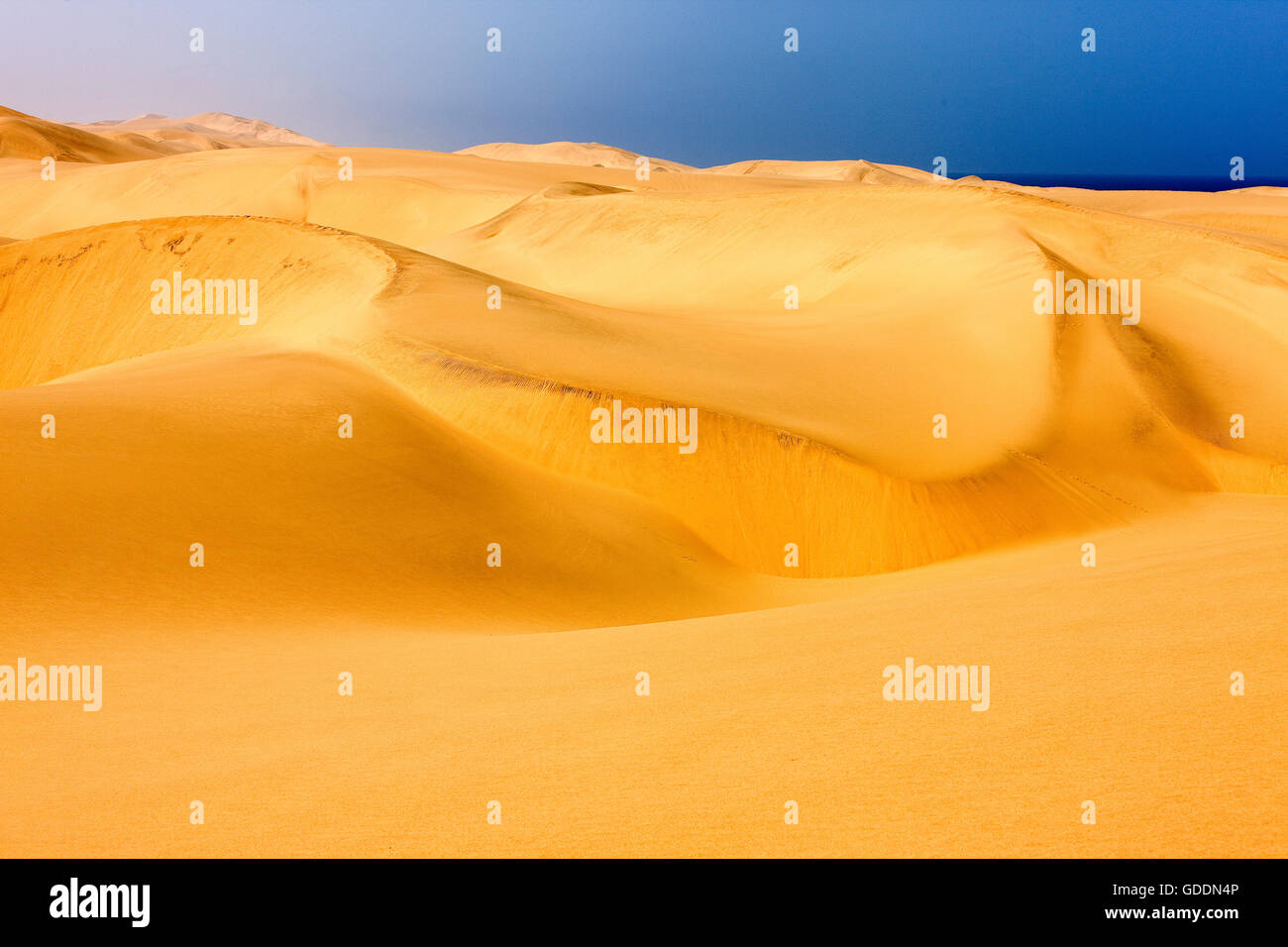 Sanddünen, Wüste in der Nähe von Walvis Bay in Namibia Stockfoto
