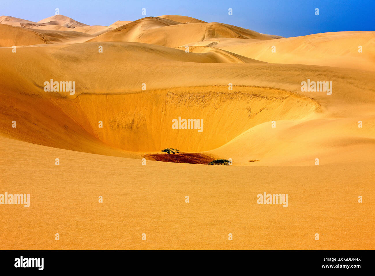 Sanddünen in der Nähe von Walvis Bay in Namibia Stockfoto