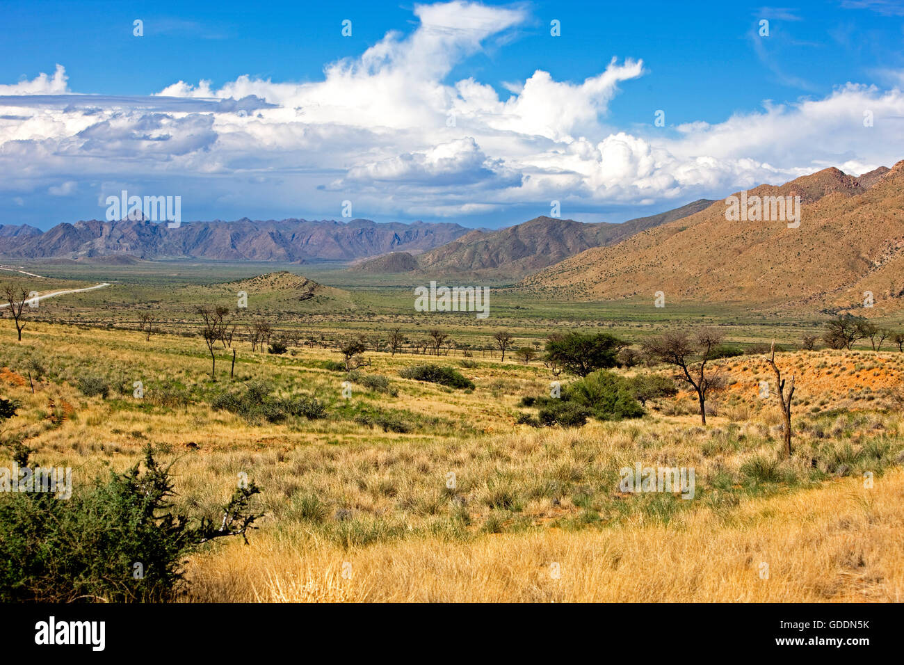 LANDSCHAFT IN DER NAMIB-NAUKLUFT PARK, NAMIBIA Stockfoto