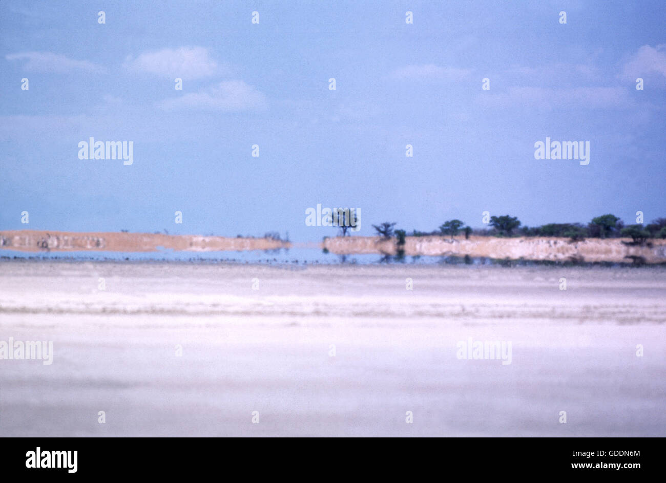 Wüstenlandschaft mit Mirage, Namibia Stockfoto