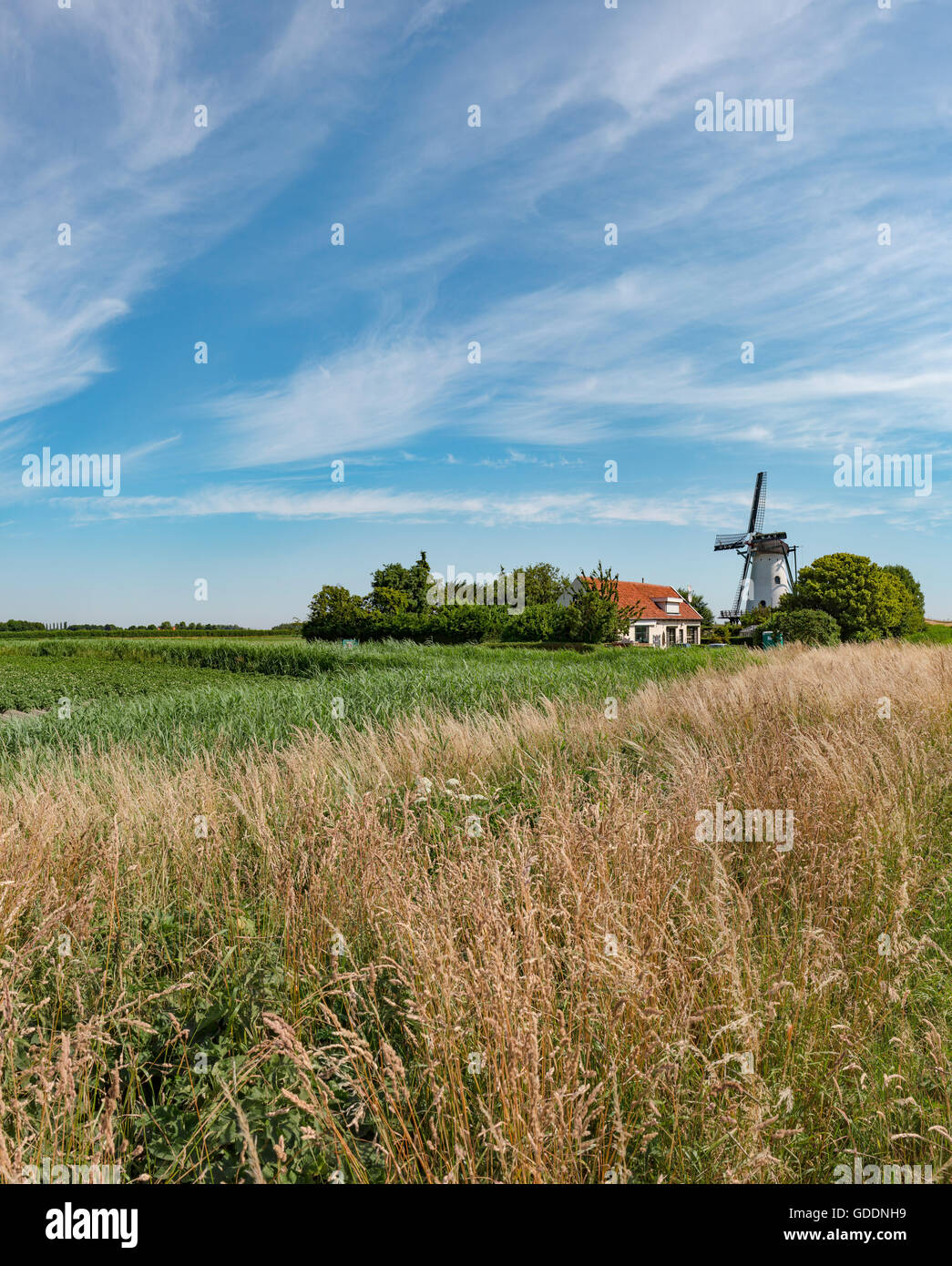 Oud vossemeer Fotos und Bildmaterial in hoher Auflösung Alamy