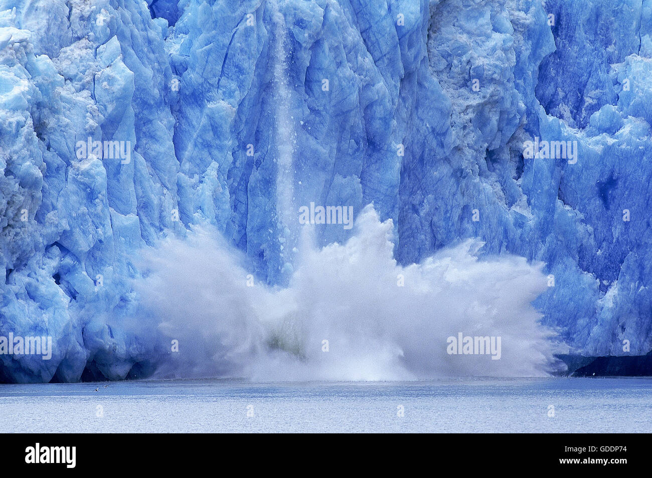 Stück des Gletschers fallen, Konzept oder die globale Erwärmung, Alaska Stockfoto