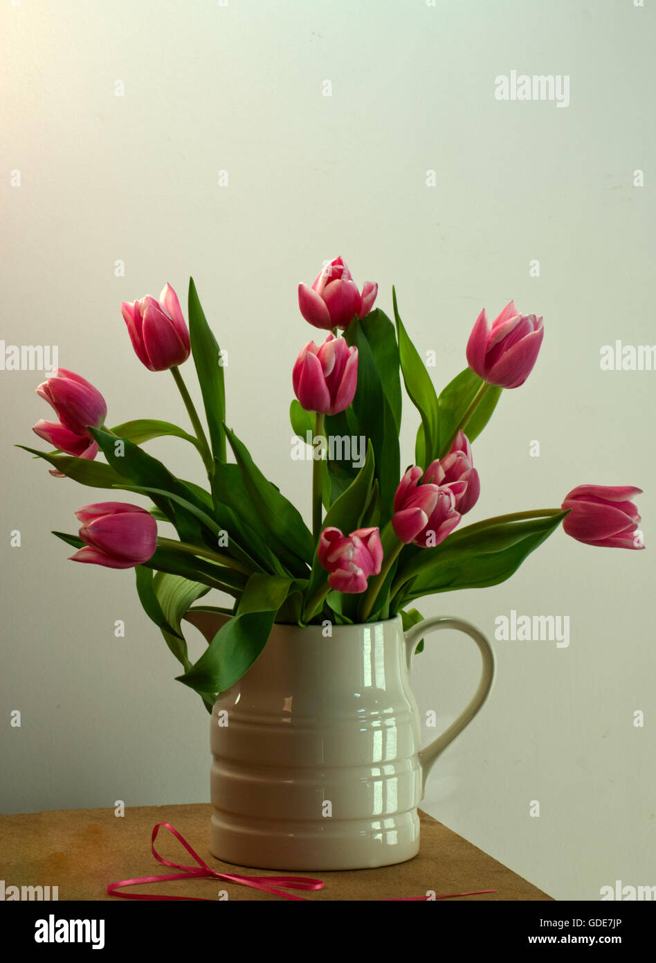 Tulpen in weißer Krug, rosa, Geschenk, Stockfoto