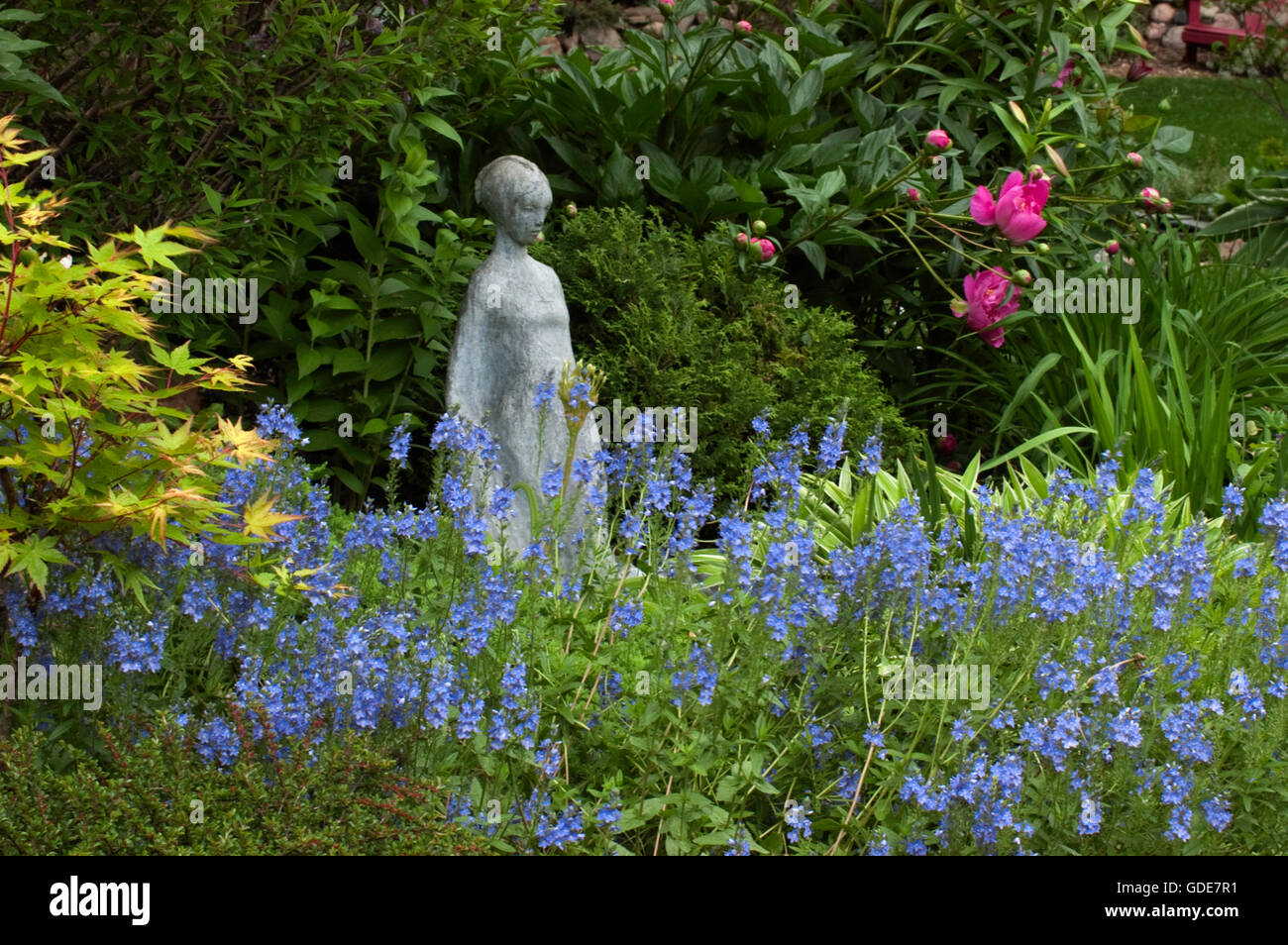 Gehämmertem Blei-Skulptur von John Cavanaugh, im Garten mit Veronica gentianoides Stockfoto