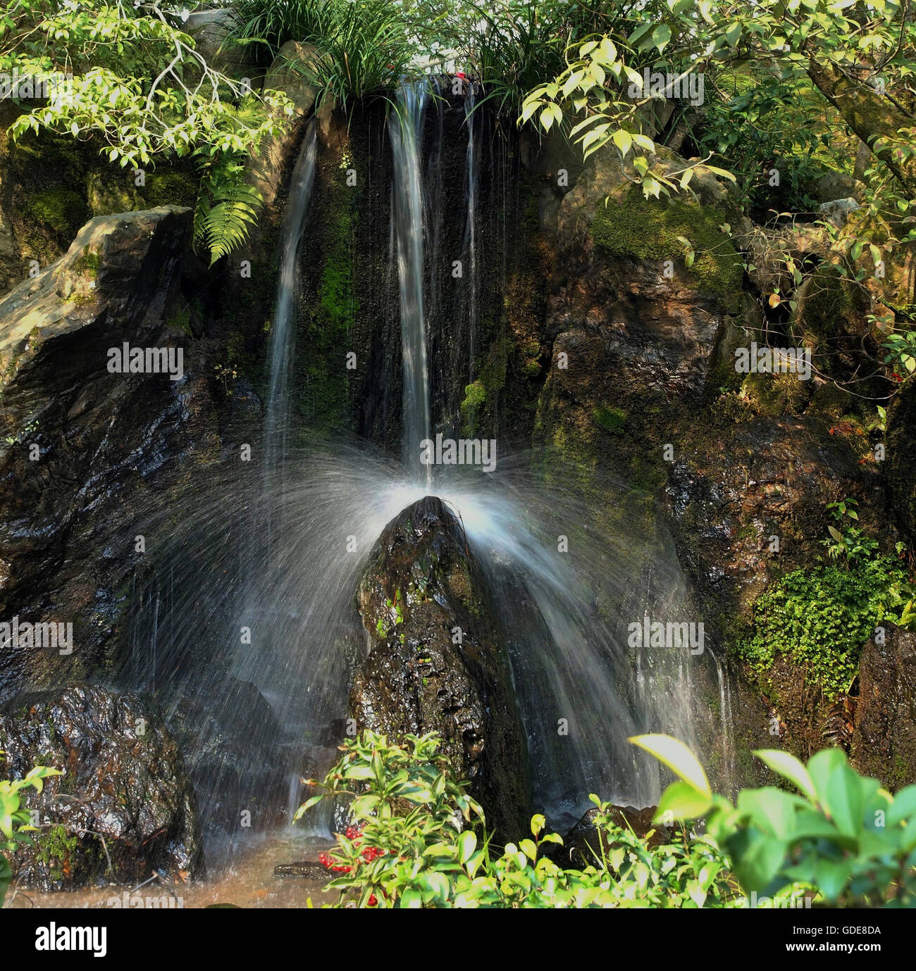 Harmonie Wasser Stein Wasserfall Japan Japanischer Garten