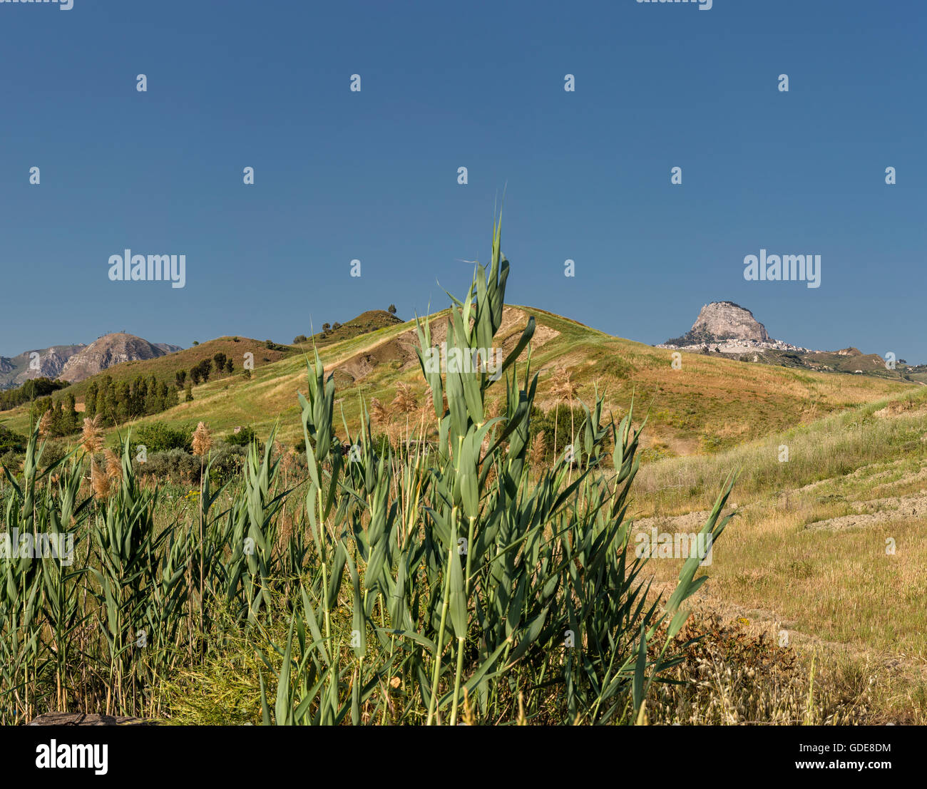 Hügelige Landschaft im zentralen Sizilien Stockfoto