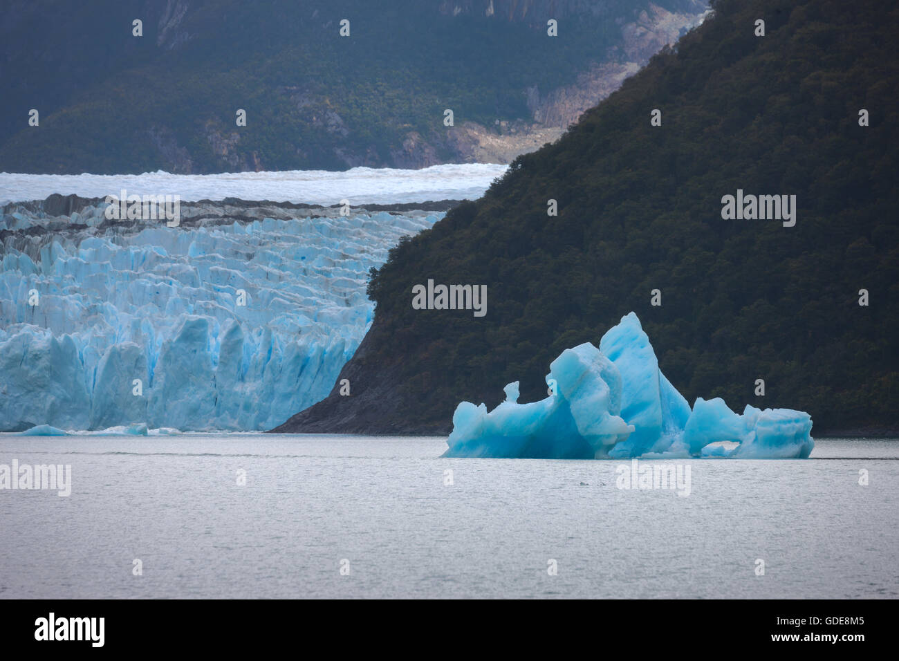 Spegazzini, Gletscher, Argentinien, Patagonien Stockfoto
