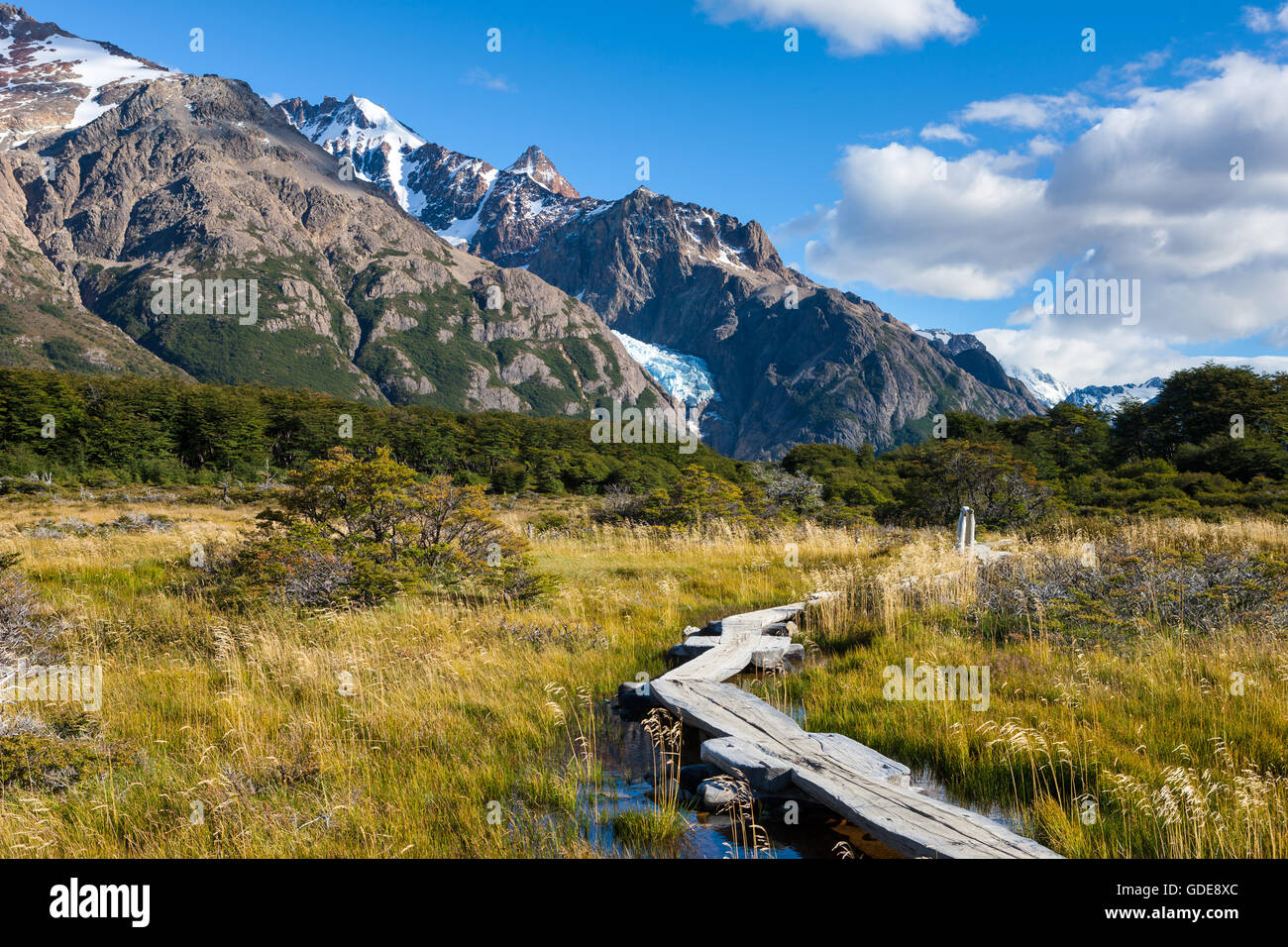 Patagonien, Natur, Argentinien Stockfoto