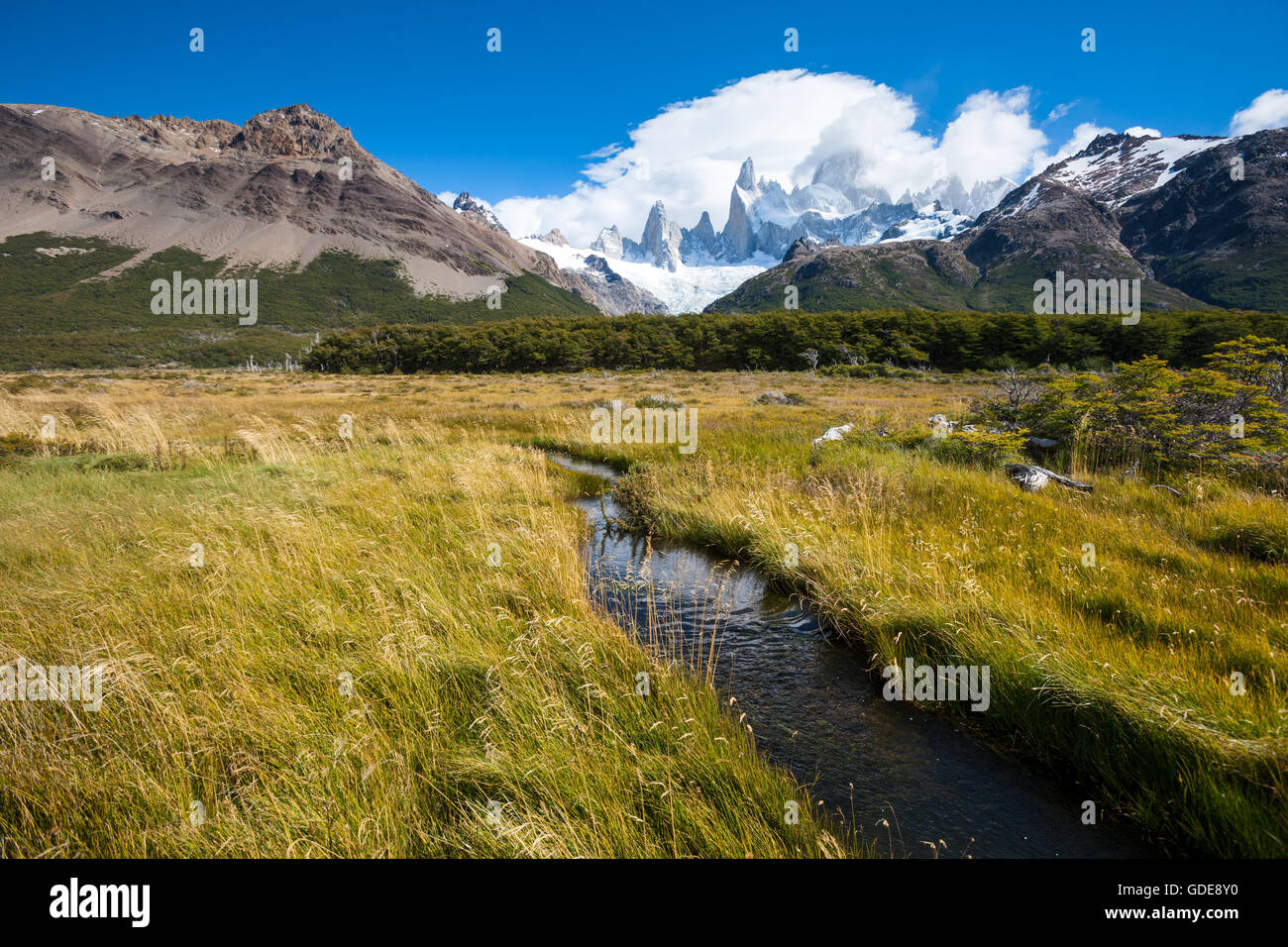 Cerro Fitz Roy, Argentinien, Patagonien Stockfoto