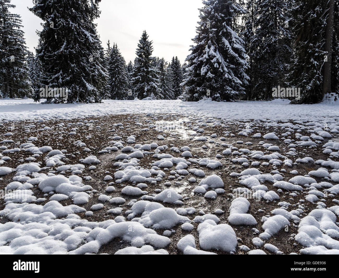 Jura, erster Schnee Stockfoto