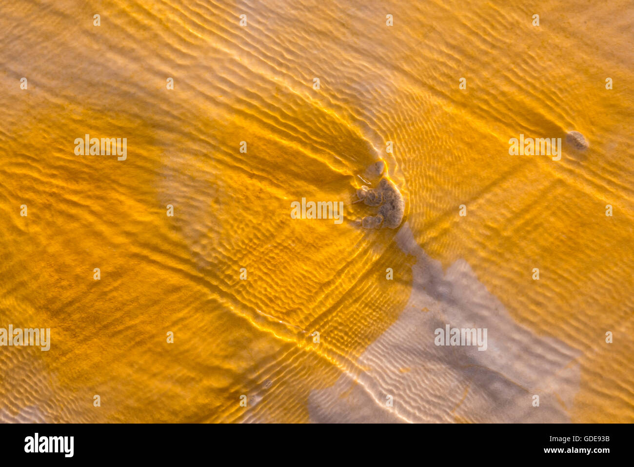 USA, Rocky Mountains, Wyoming, Yellowstone, Nationalpark, UNESCO, Welterbe, Upper Geyser, Geysir Basin, Geysir, Stockfoto