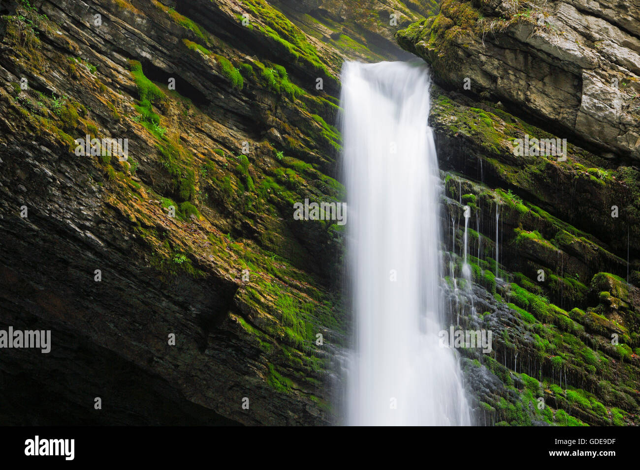 Thur Wasserfälle, Kanton St. Gallen, Schweiz Stockfoto