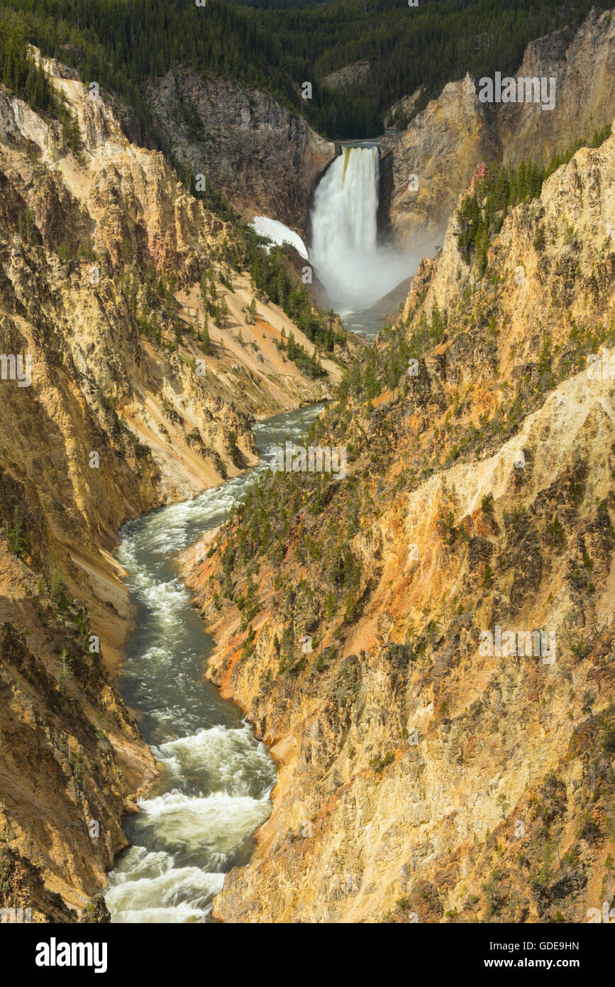 USA, Rocky Mountains, Wyoming, Yellowstone, Nationalpark, UNESCO, Welterbe, Lower Falls des Yellowstone River, Stockfoto