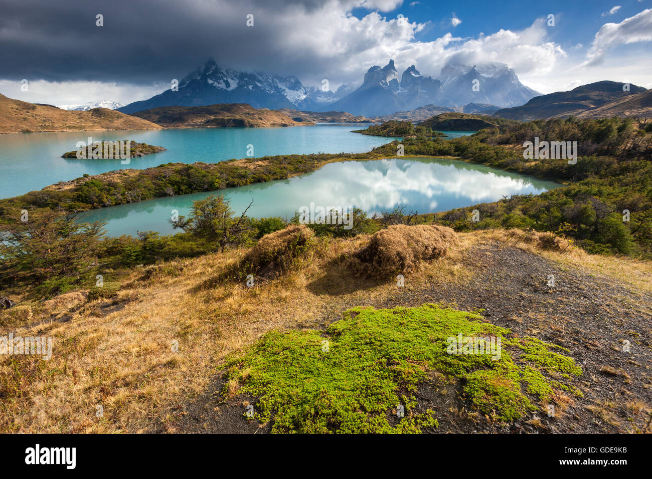 Lake Pehoé, Chile, Patagonien Stockfoto