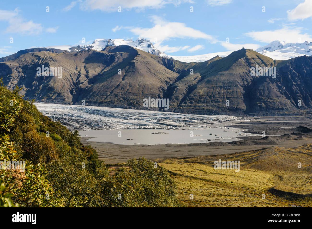 Gletscher Skaftafellsjökull im Nationalpark Vatnajökull im Süden Islands. Stockfoto