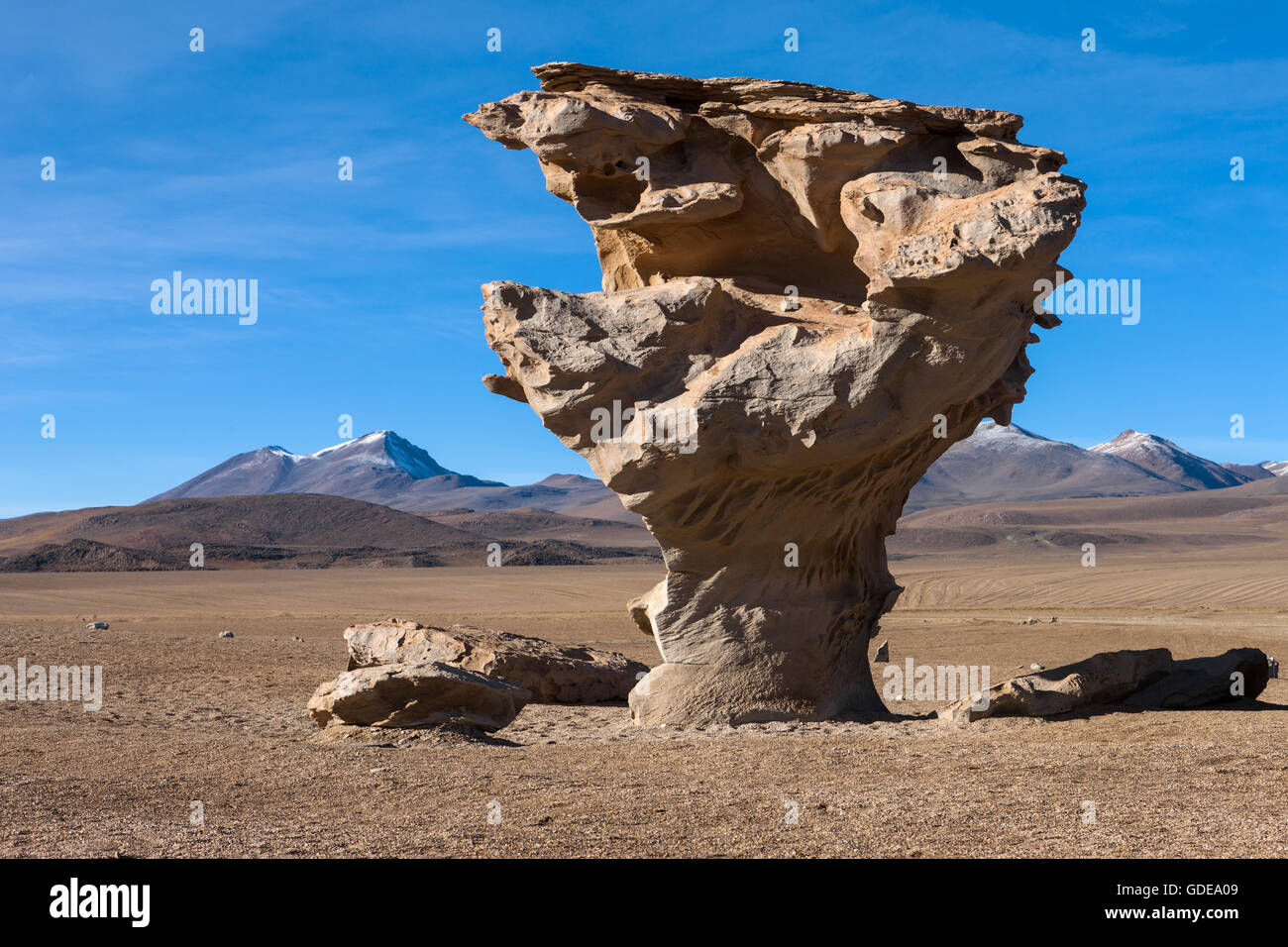 Arbol de Piedra, Bolivien, Altiplano Stockfoto