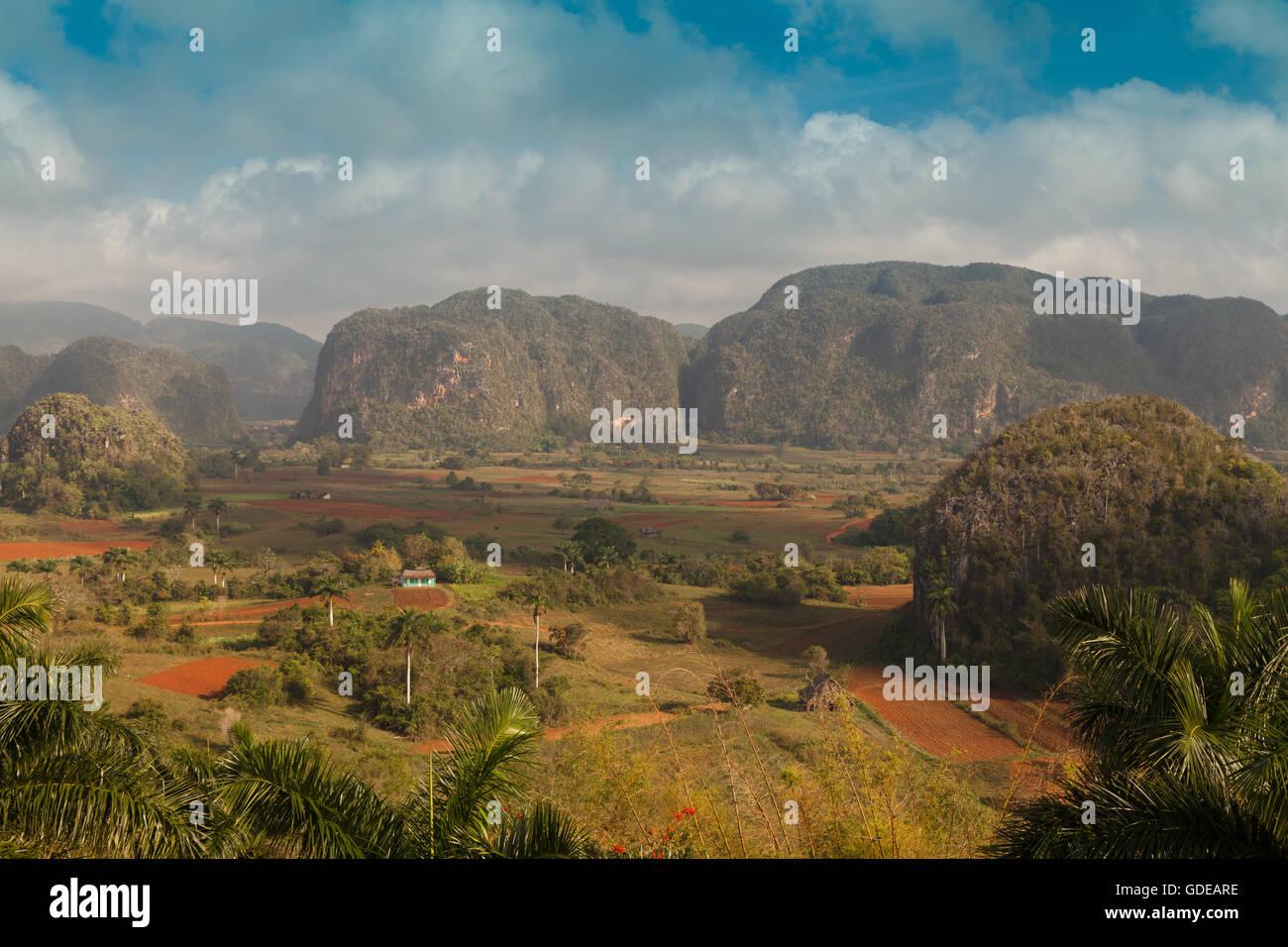 Außergewöhnliche Aussicht über das Tal von Vinales, Pinar Del Rio, Kuba Stockfoto