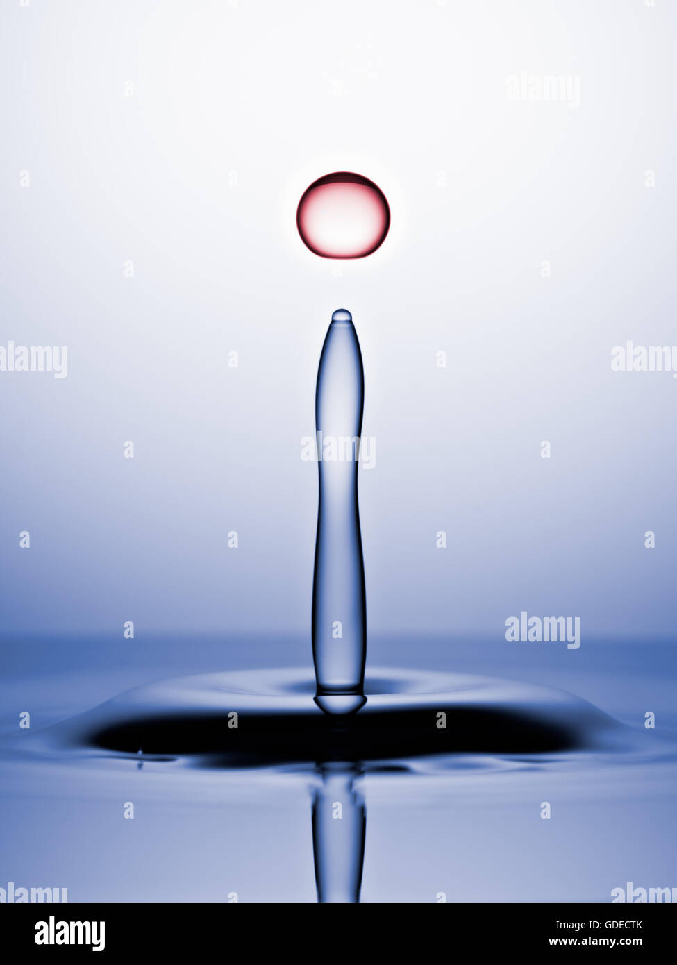 Wassertropfen vor Kollision erfasst. Makro, blauer Hintergrund, Red Drop Stockfoto