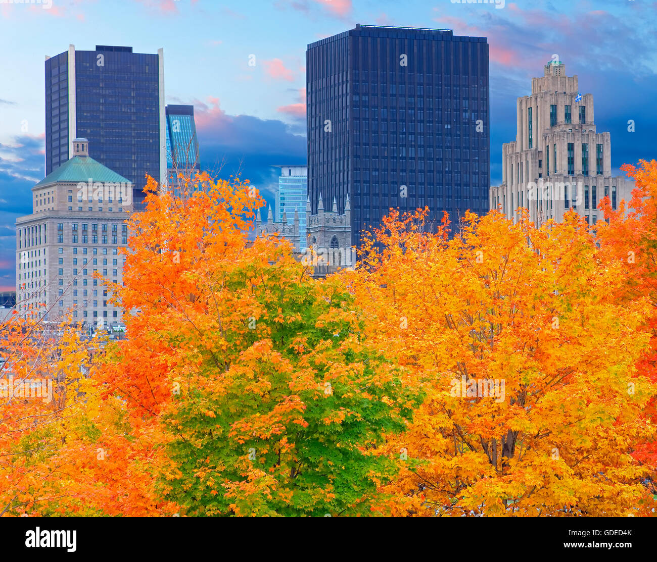 Herbst in Montreal Stockfoto