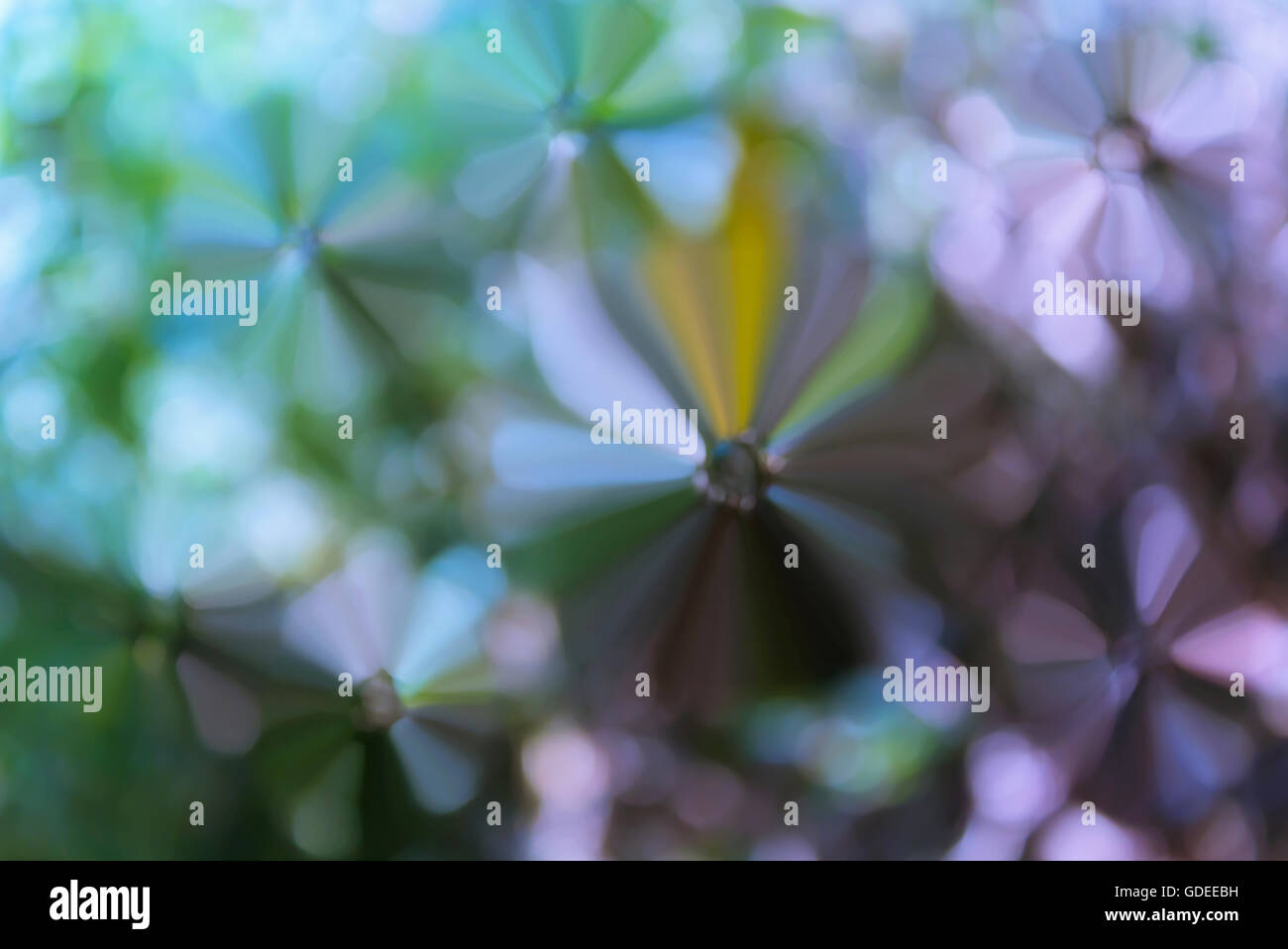 Bunte abstrakte Blumen Form grün blau lila Pastell weich und süß Blüte Hintergrund Stockfoto