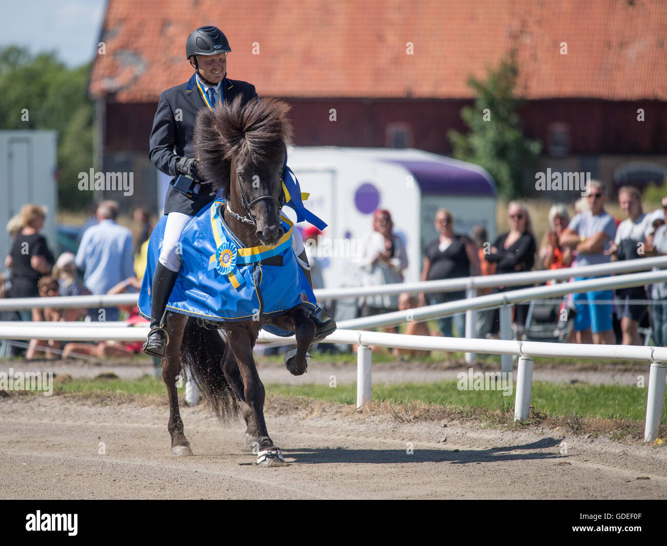 Schwedische Meisterschaft für Islandpferde bei Himmelstalund in Norrköping am 10. Juli 2016. Stockfoto