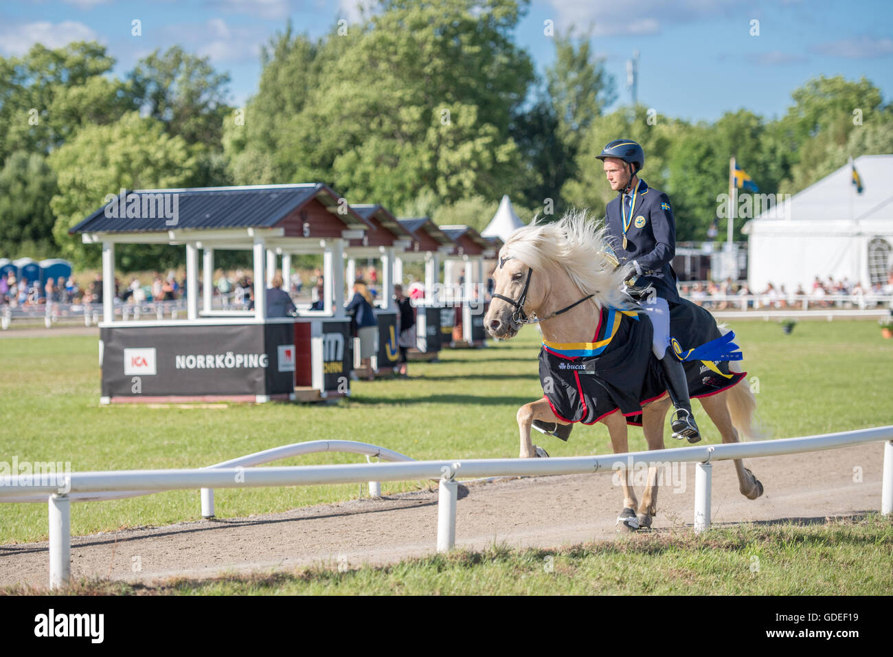 Schwedische Meisterschaft für Islandpferde bei Himmelstalund in Norrköping am 10. Juli 2016. Stockfoto