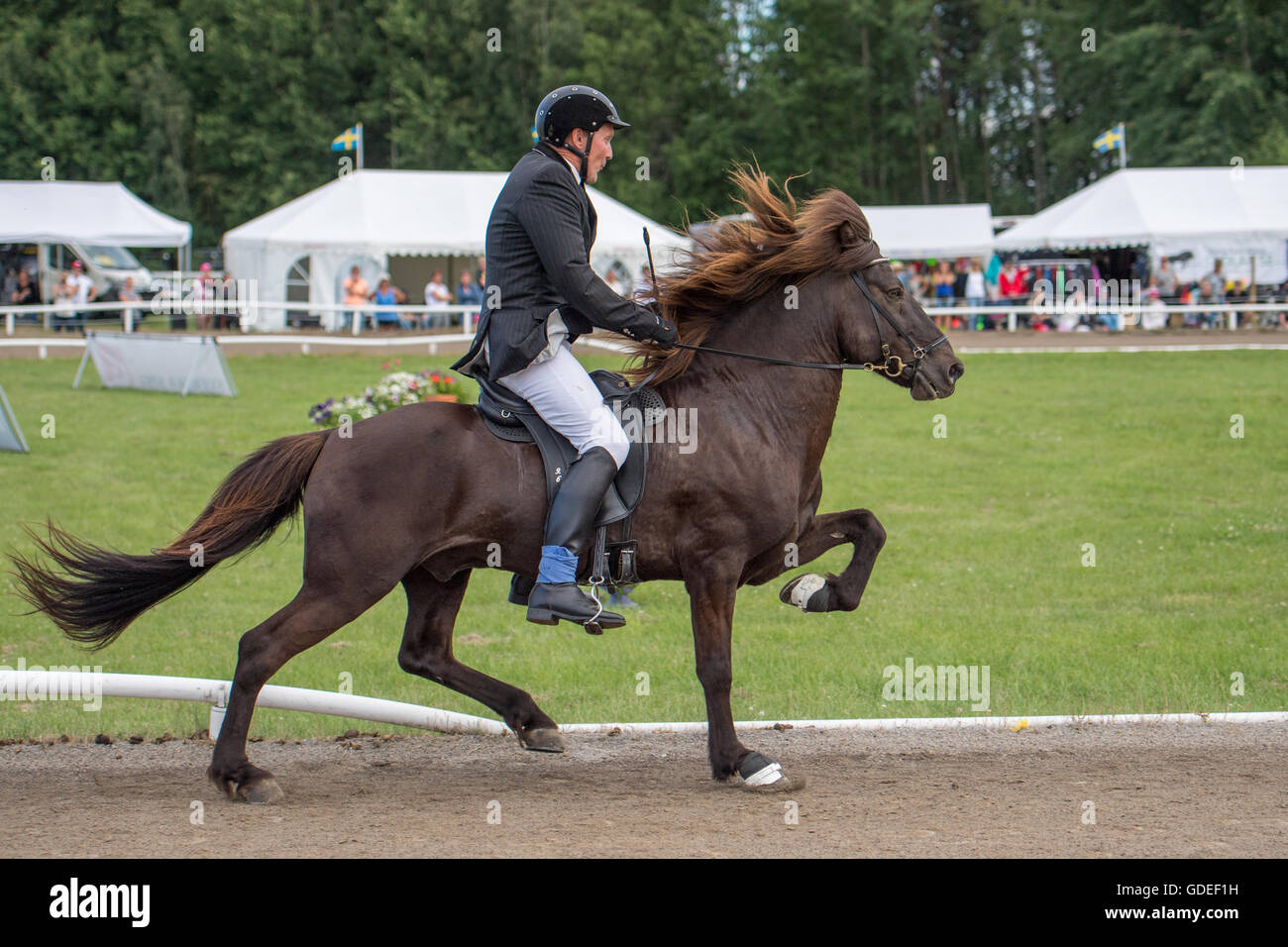 Schwedische Meisterschaft für Islandpferde bei Himmelstalund in Norrköping am 10. Juli 2016. Stockfoto