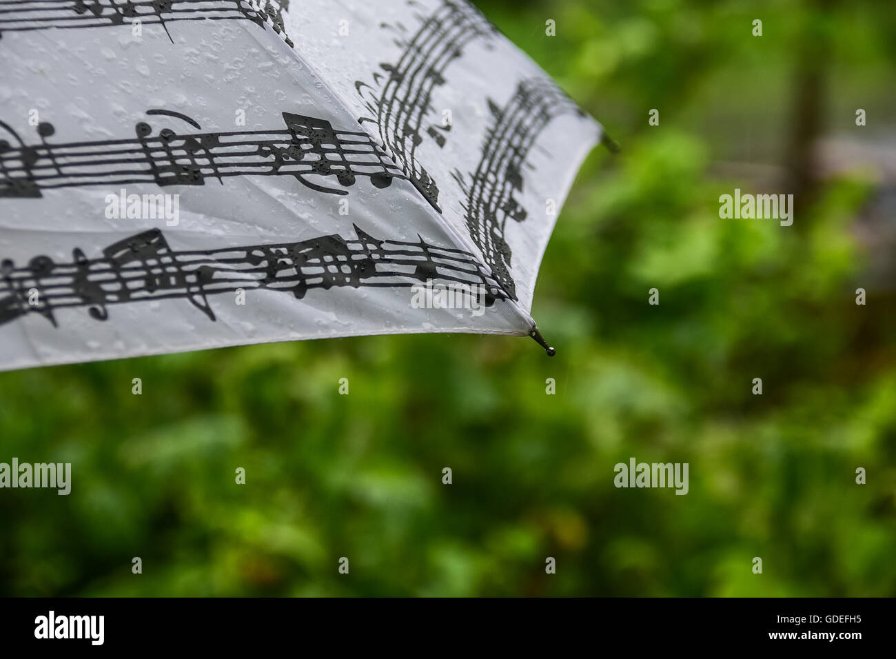 Regenschirm in Regen Stockfoto