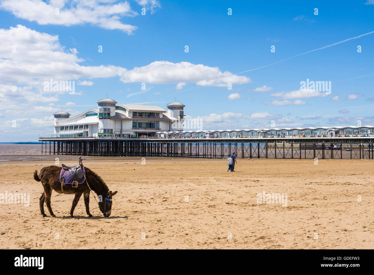 Ein Esel am Strand von Weston-super-Mare vor dem Grand Pier, Somerset, England. Stockfoto
