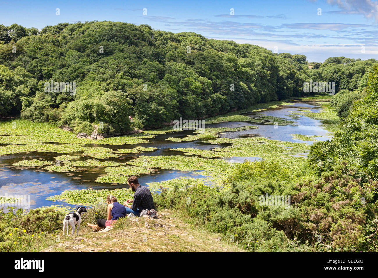 Junges Paar am Bosherston Seerosenteichen auf Stackpole Estate, Pembrokeshire Coast National Park, Wales, UK Stockfoto