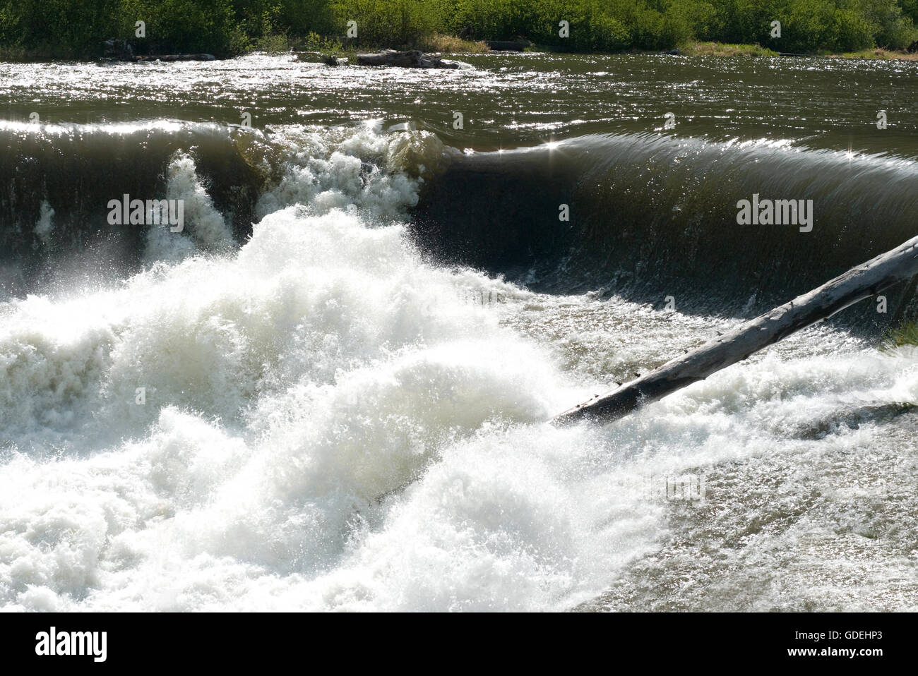 Eine Nahaufnahme der Studie von einem kleinen Wasserfall und Wildwasser am Fluss Skykomish neben dem Highway 2 in den Cascade Mountains. Stockfoto