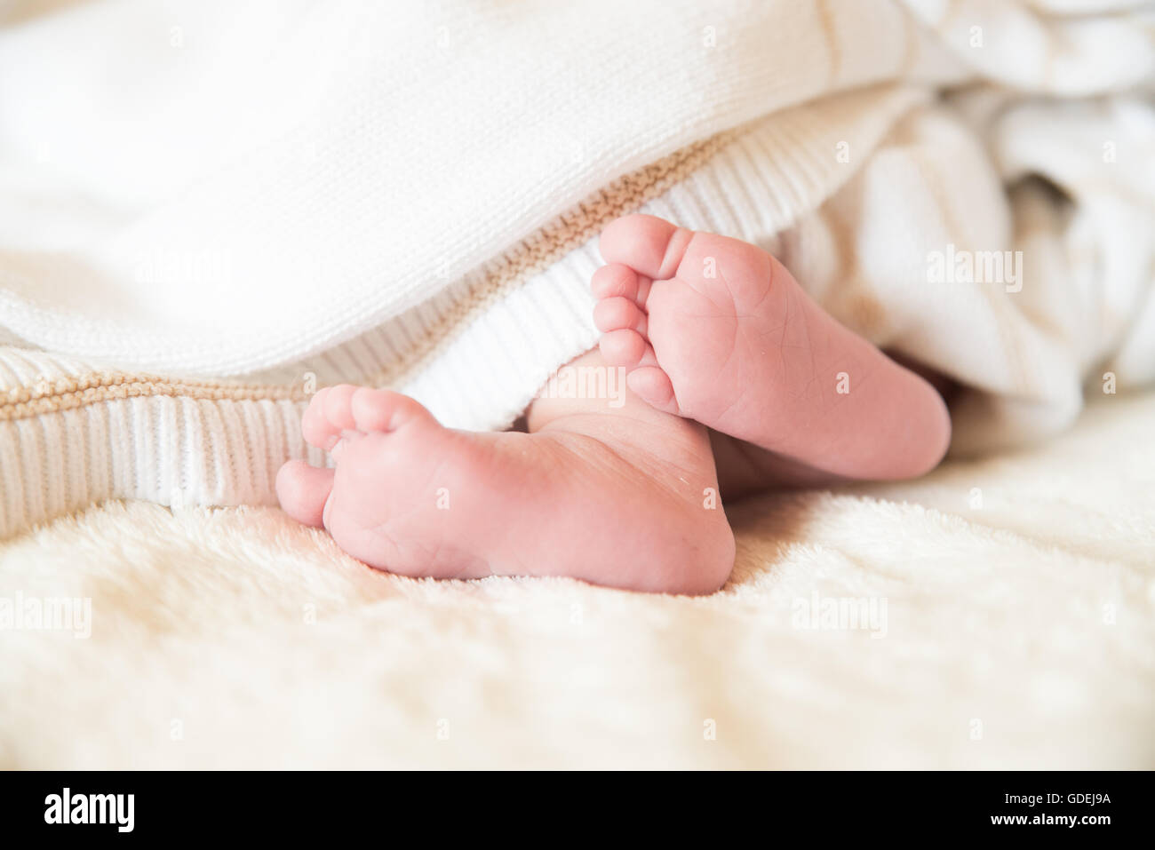 Baby junge Füße in Nahaufnahme Stockfoto