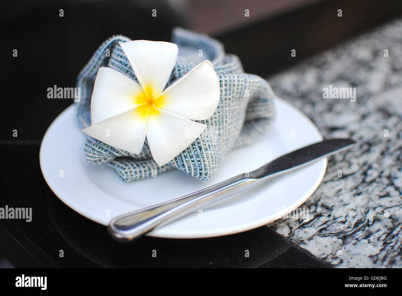 Frangipani Blume auf Teller Stockfoto