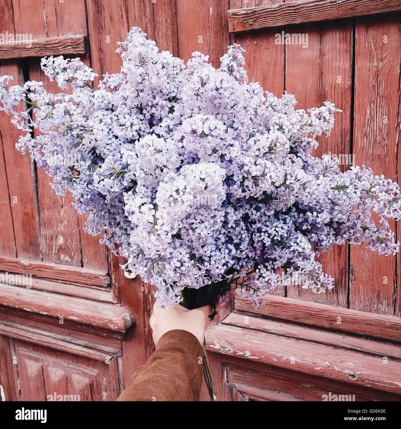 Frau mit einem Blumenstrauß lila Stockfoto