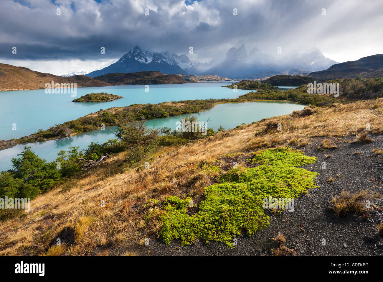 Lake Pehoé, Chile, Patagonien Stockfoto
