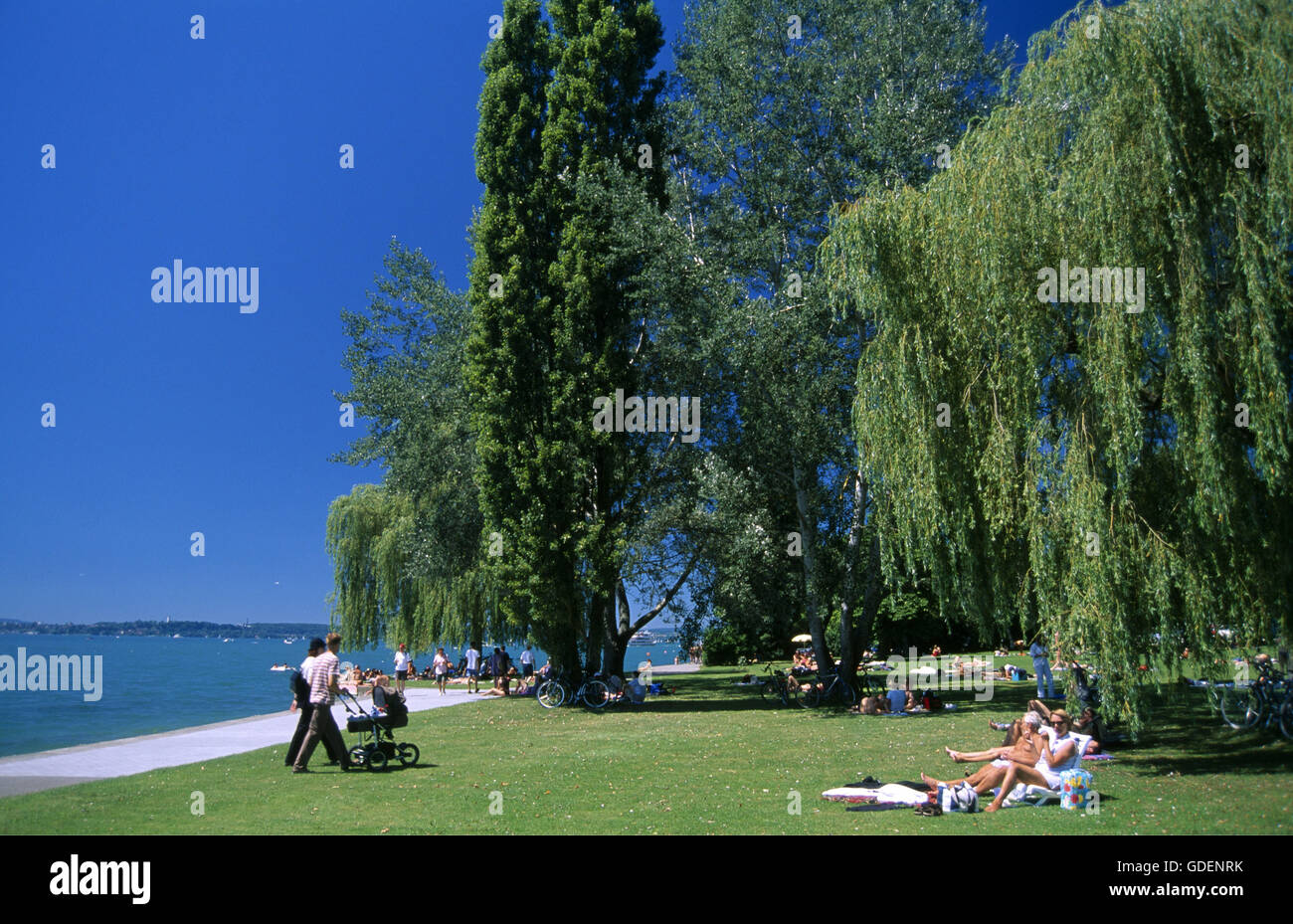 Strand von Meersburg, See Constsance, Baden-Württemberg, Deutschland Stockfoto