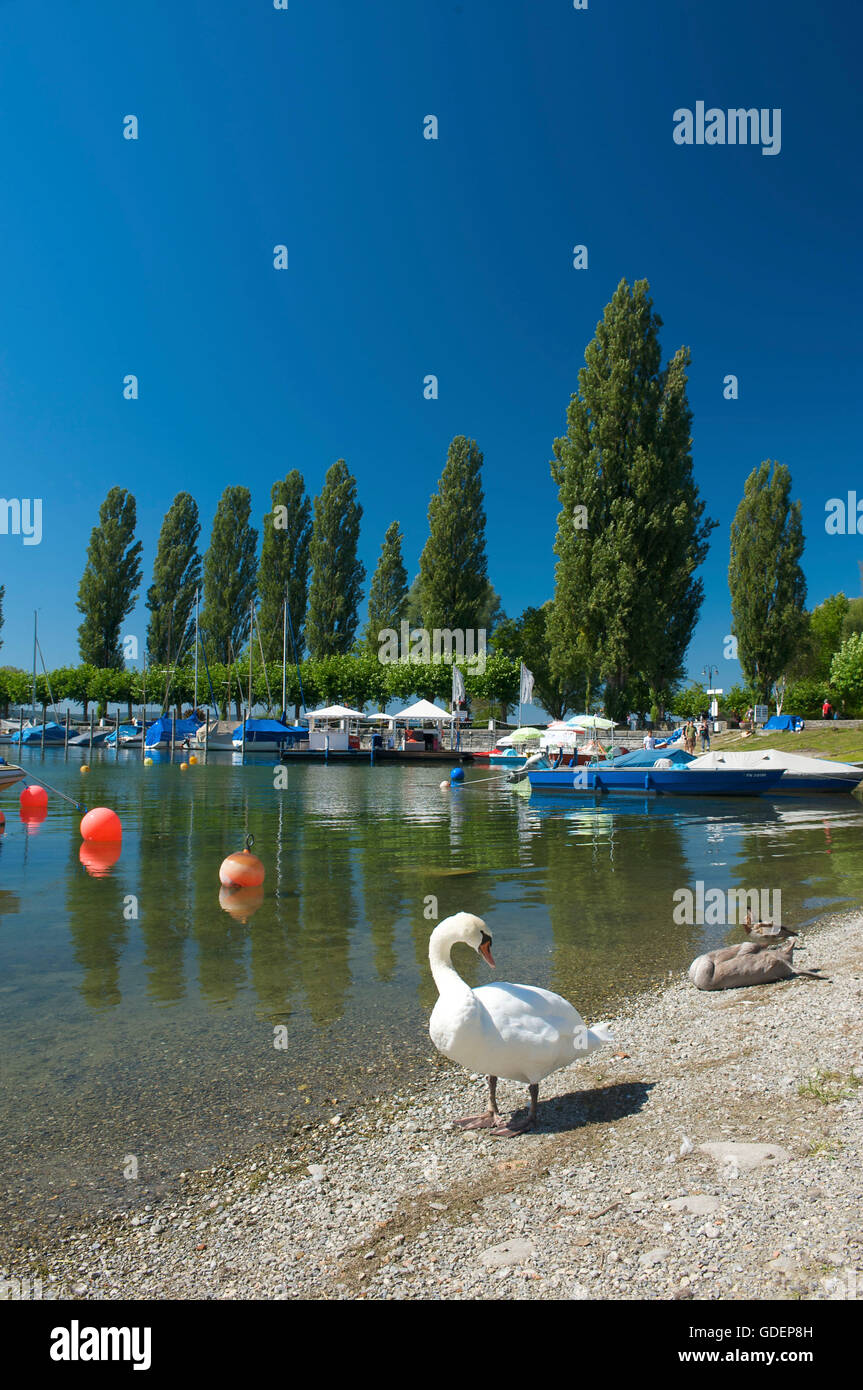 Hafen von Unteruhldingen am Bodensee, Baden-Württemberg, Deutschland Stockfoto