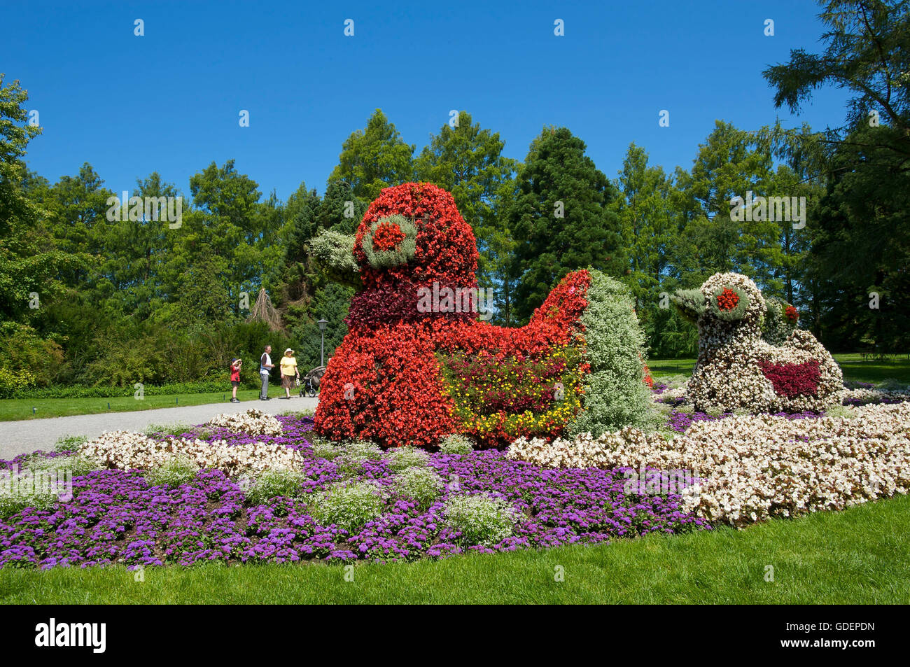Insel Mainau, Bodensee, Baden-Württemberg, Deutschland Stockfoto