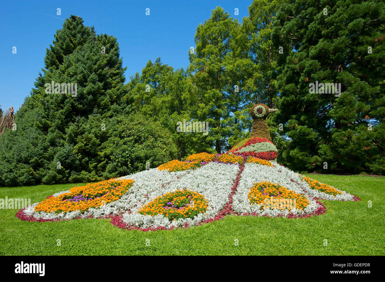 Insel Mainau, Bodensee, Baden-Württemberg, Deutschland Stockfoto