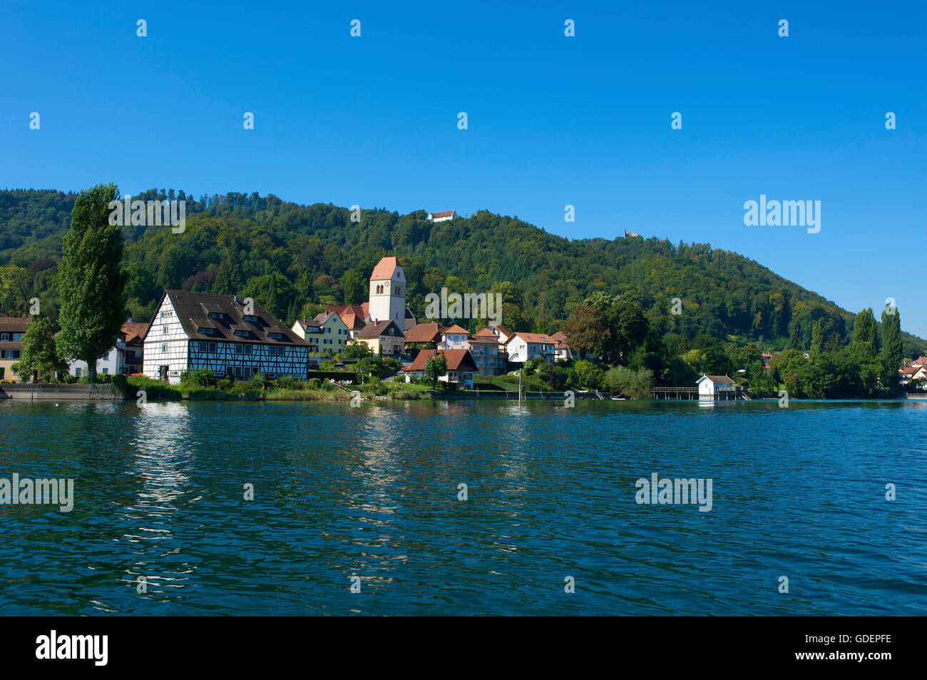 Bodman, Bodensee, Baden-Württemberg, Deutschland Stockfoto