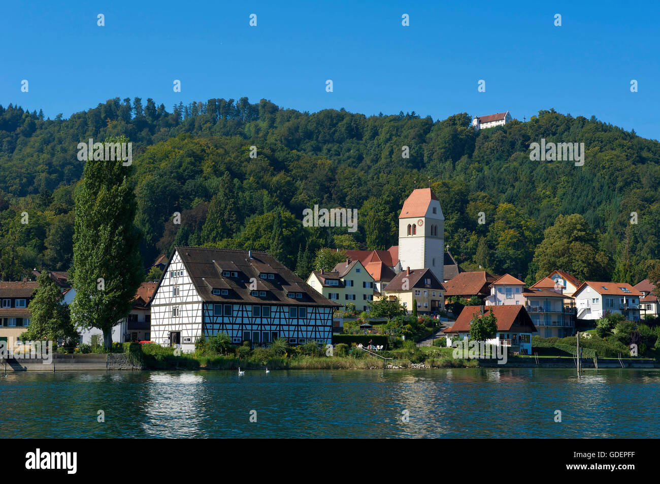 Bodman, Bodensee, Baden-Württemberg, Deutschland Stockfoto