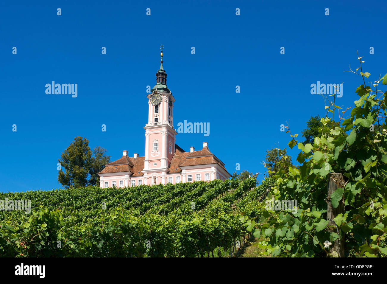 Wallfahrtskirche in Birnau, Bodensee, Baden-Württemberg, Deutschland Stockfoto